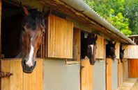 free Llangyfelach stable construction quotes